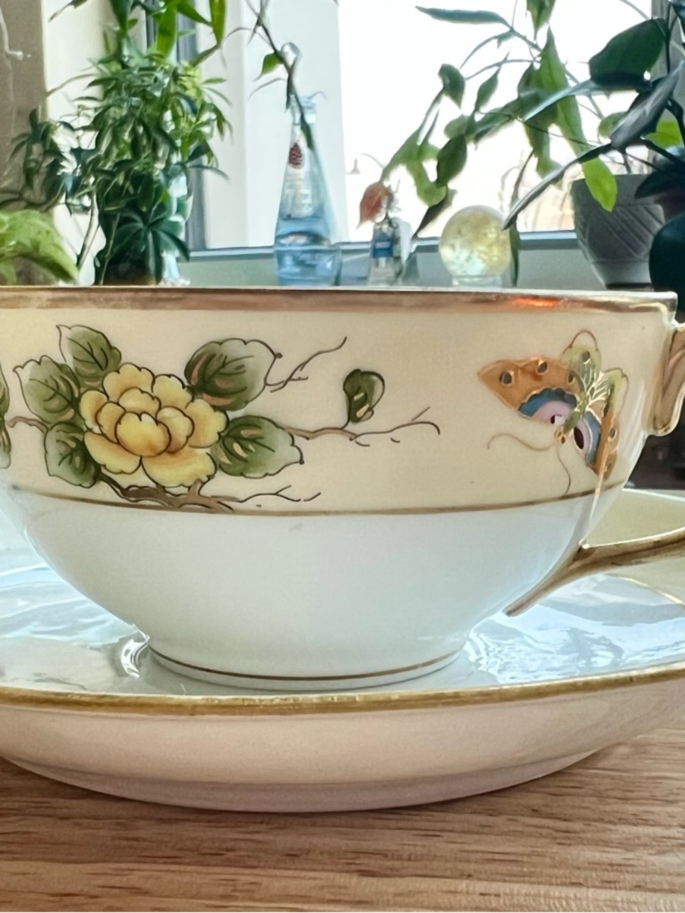 Nippon Porcelain Tea Cup and Saucer